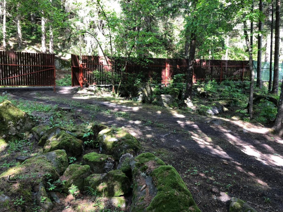Forest Cottage Weekend House Vlahita Exterior photo